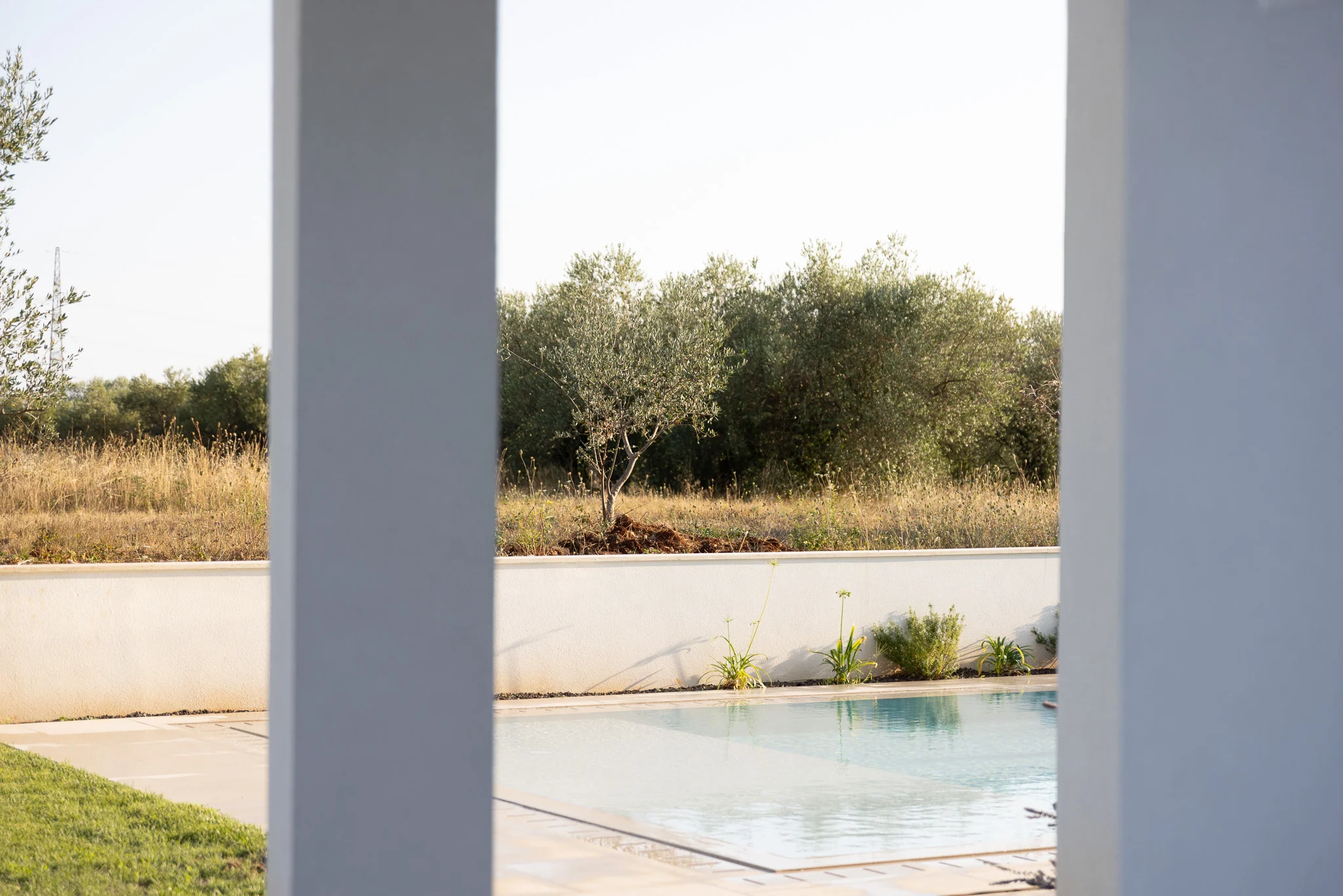 Piscina e uliveto accanto al progetto della cucina POP a Umag